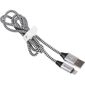 Kabel USB Tracer USB-A - Lightning 1 m Srebrny (TRAKBK46268)