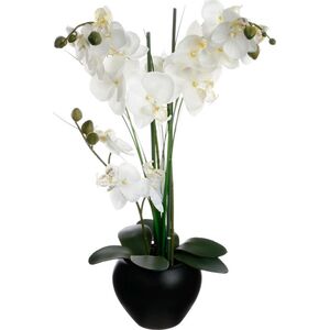 Atmosphera Orchidea w czarnej doniczce 53 cm