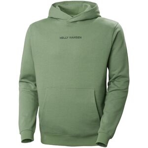 Helly Hansen Bluza Core Graphic Sweat Hoodie 408 Jade 2.0 53924_408-S