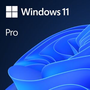 Λειτουργικό σύστημα Microsoft Windows 11 Pro PL 64 bit OEM (FQC-10544) 9242864