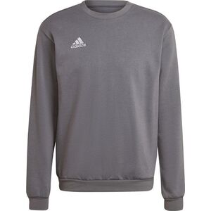 Adidas Bluza męska adidas Entrada 22 Sweat Top szara H57479 L 10432135 4065418856775