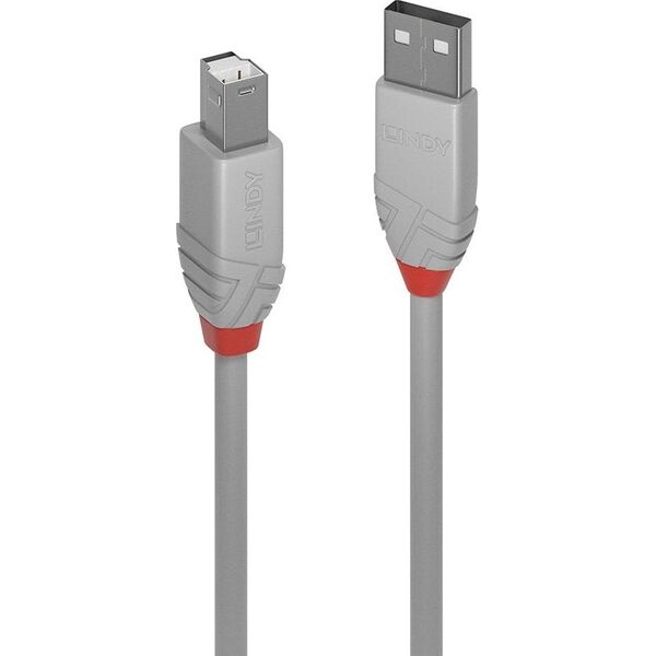 Kabel USB Lindy USB-A - USB-B 2 m Czarny (36683)